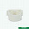 Accessoires blancs de tuyau de Ppr de taille de bride de garnitures offre d'eau froide ou chaude de 20 - 63 millimètres