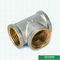 Garnitures en laiton filetées femelles de Pex de garnitures de compression de garnitures de vis de pièce en t pour le tuyau en aluminium de Pex Pex