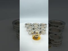 L'Allemagne d'insertions en laiton femelles de garnitures de PPR conçoit des types plus légers