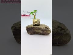 Raccord femelle de tuyauterie PEX en laiton pour tube SS