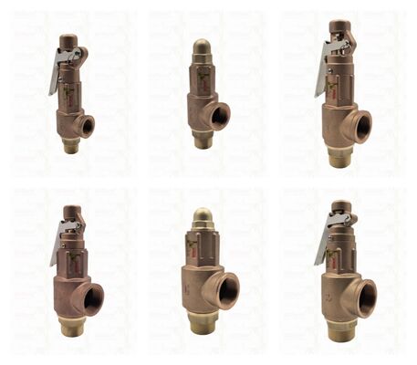Soupape de sécurité en laiton 1/2"-2" Dispositif de protection contre la surpression pour système de canalisation LOGO personnalisé