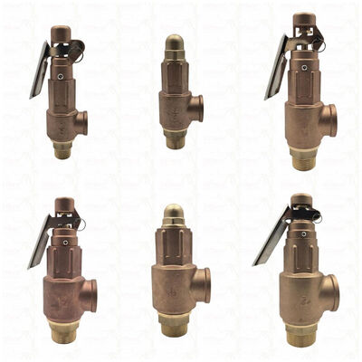 Soupape de sécurité en laiton 1/2"-2" Dispositif de protection contre la surpression pour système de canalisation LOGO personnalisé