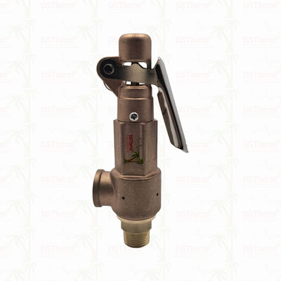Soupape de sécurité en laiton 1/2"-2" Dispositif de protection contre la surpression pour système de canalisation LOGO personnalisé