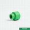 accouplement égal en plastique vert de Ppr de montage de tuyau de 20mm pour la Chambre avec l'ODM d'OEM