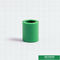 accouplement égal en plastique vert de Ppr de montage de tuyau de 20mm pour la Chambre avec l'ODM d'OEM
