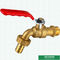 Le robinet en laiton nickelé de Bibcock de valve de robinet d'eau, le robinet en laiton a adapté Logo Designs aux besoins du client