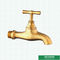 Le robinet en laiton de couleur en laiton a adapté la valve aux besoins du client en laiton de Bibcock de boule de poids moyen de marque