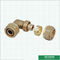 Femelle en laiton filetée égale de garnitures de PEX filetée pour le tube de cuivre
