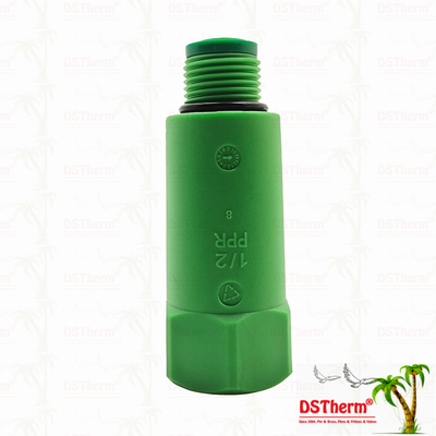 Bouchon de tuyau PPR Bouchon de test PPR Bouchon long Couleur/Logo personnalisé 1/2